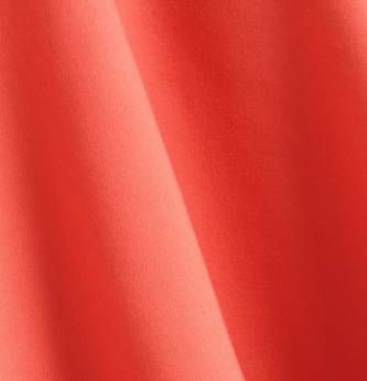 アイリーン.png アイリーン.png