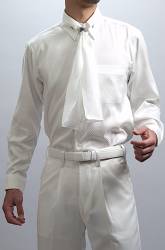 アスコットシャツ アスコットシャツ