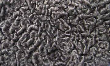 アストラカン.jpg アストラカン.jpg