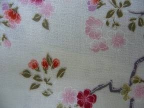 アムンゼン.jpg アムンゼン.jpg