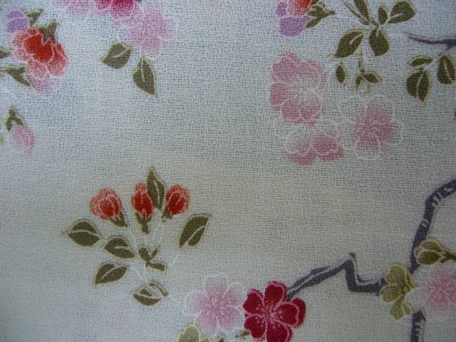 アムンゼン.jpg アムンゼン.jpg