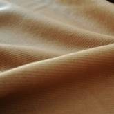 イリジアン イリジアン