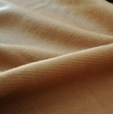 イリジアン.png イリジアン.png