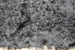 カルガンラム.jpg カルガンラム.jpg