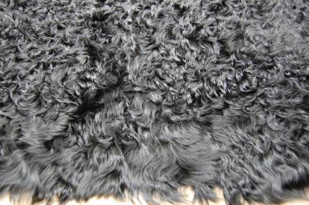 カルガンラム.jpg カルガンラム.jpg