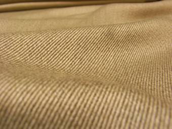 カルゼ.jpg カルゼ.jpg