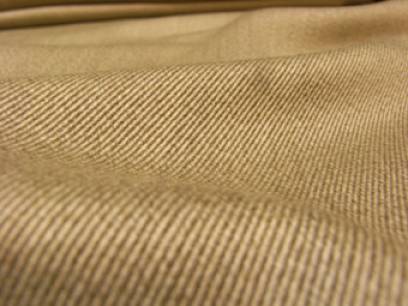 カルゼ.jpg カルゼ.jpg