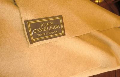 キャメルヘア.jpg キャメルヘア.jpg