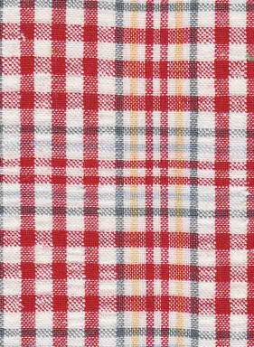 シアサッカー.jpg シアサッカー.jpg