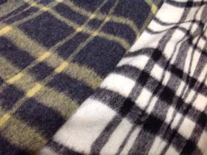 シャギー.jpg シャギー.jpg