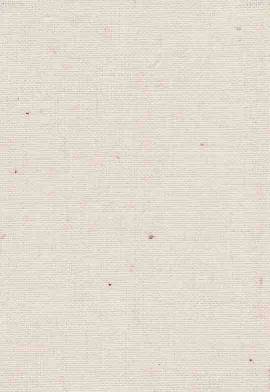 シーチング.jpg シーチング.jpg