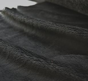 シール.png シール.png