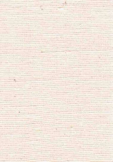 タッサー.jpg タッサー.jpg