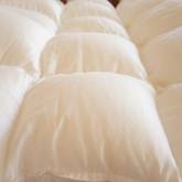 ダウンプルーフ ダウンプルーフ