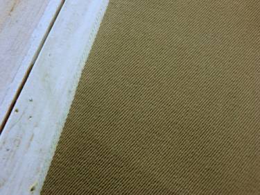 チノ.jpg チノ.jpg