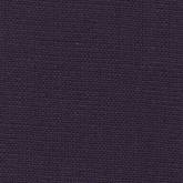 テレクトラ テレクトラ