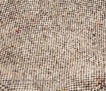 ネップツイード.jpg ネップツイード.jpg