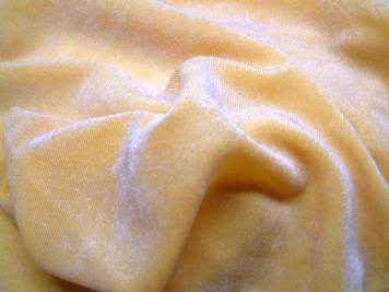 ビロード.jpg ビロード.jpg