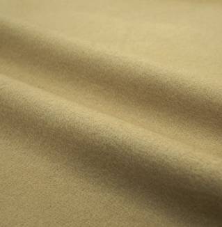 ビーバークロス.png ビーバークロス.png