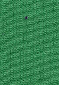 ピケ.jpg ピケ.jpg