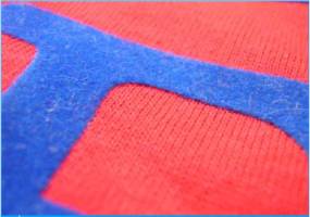 フロッキープリント.jpg フロッキープリント.jpg