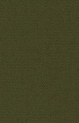 ブロークンツイル.jpg ブロークンツイル.jpg