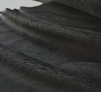 プラッシュ.png プラッシュ.png