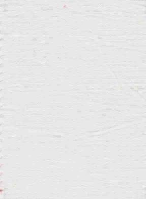 マル.jpg マル.jpg