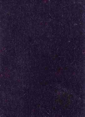 別珍.jpg 別珍.jpg