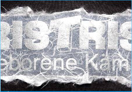 和紙プリント.jpg 和紙プリント.jpg