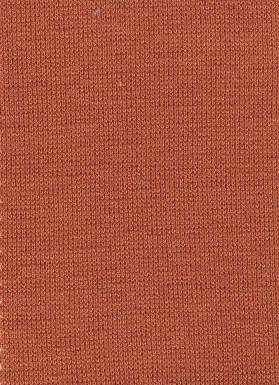 天竺.jpg 天竺.jpg