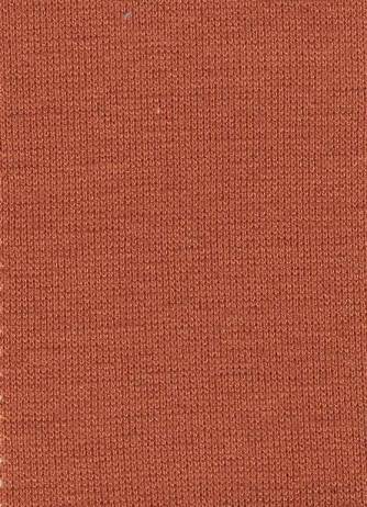 天竺編.jpg 天竺編.jpg