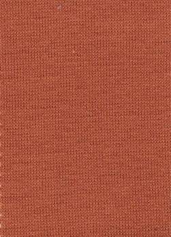 天竺.jpg 天竺.jpg