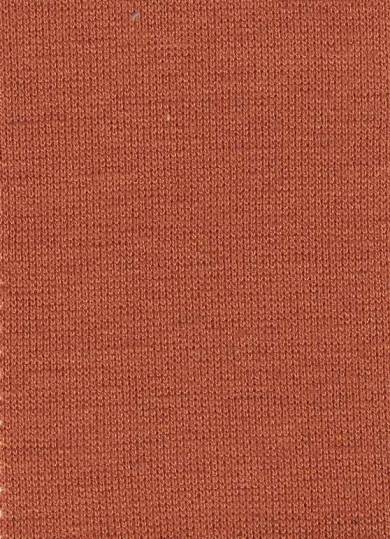 天竺.jpg 天竺.jpg