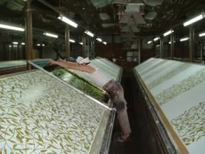 手捺染.jpg 手捺染.jpg