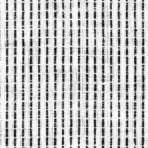 空羽.jpg 空羽.jpg