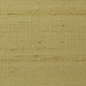 絓絹.png 絓絹.png