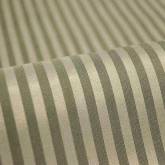 縞羽二重 縞羽二重