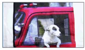 色分解プリント.gif 色分解プリント.gif